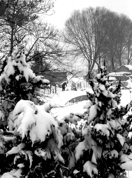 南里商的雪