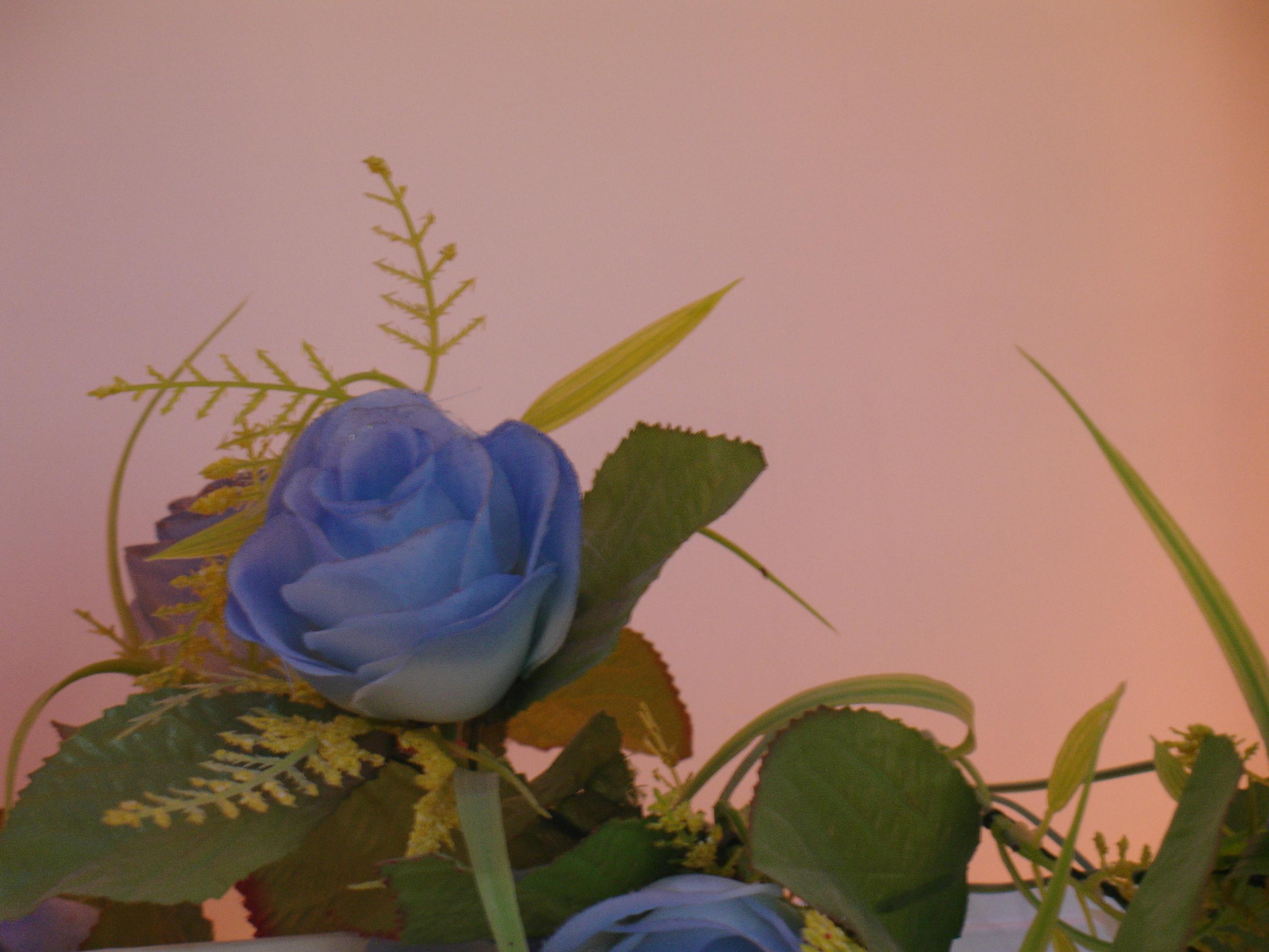 ［原创］酒店装饰花