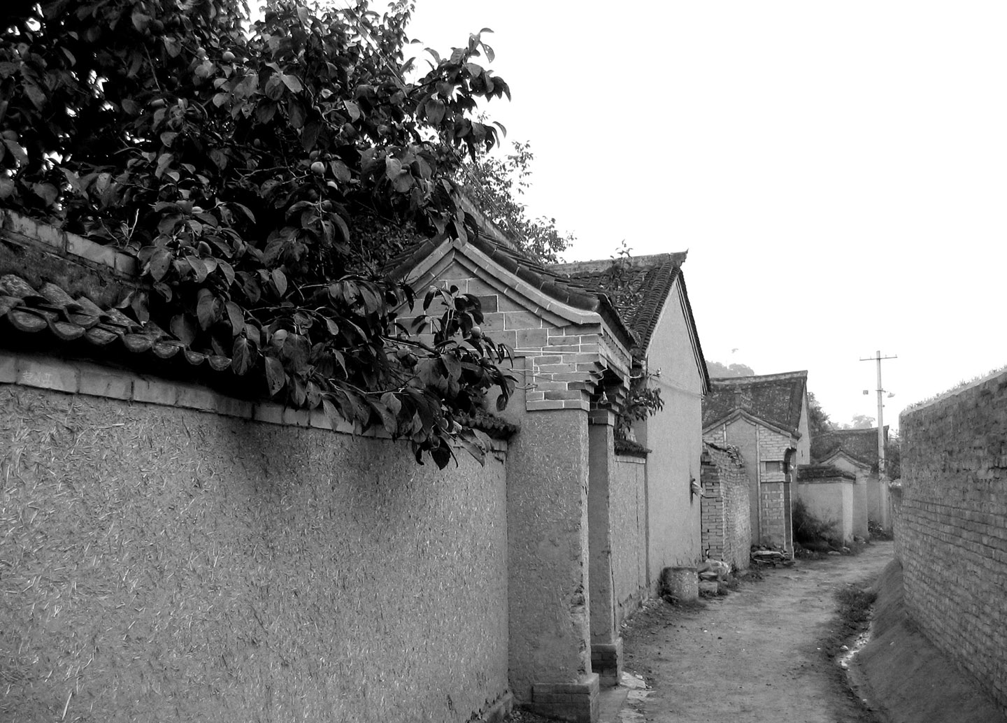 甘肃泾川　2006