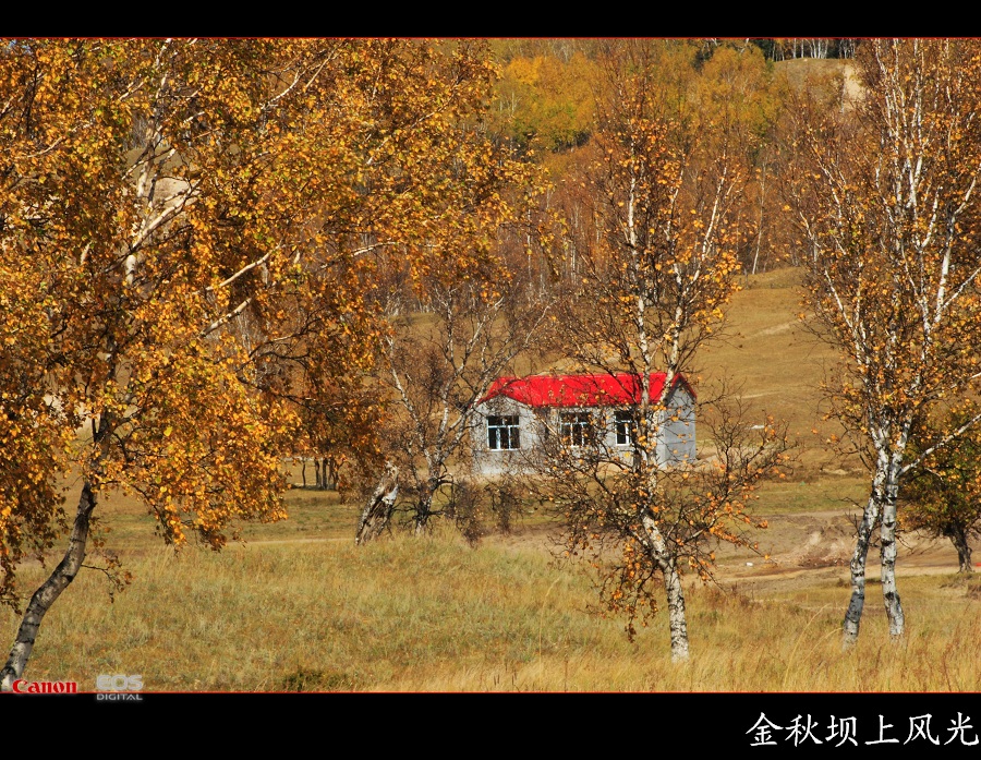 金秋坝上勾魂美景系列