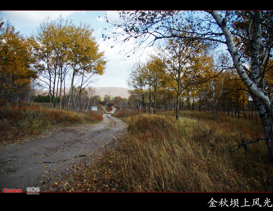 金秋坝上勾魂美景系列