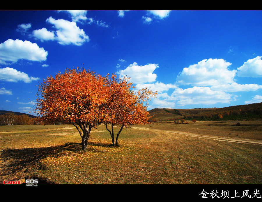 金秋坝上勾魂美景系列