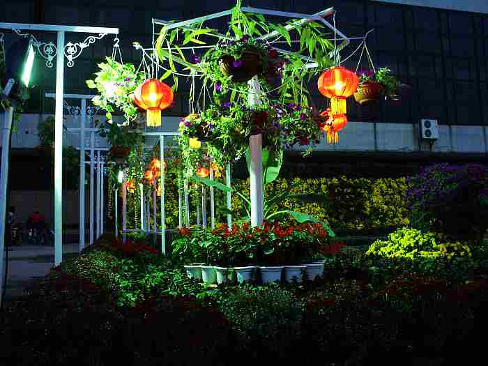 10.1文化宫广场夜景早知道