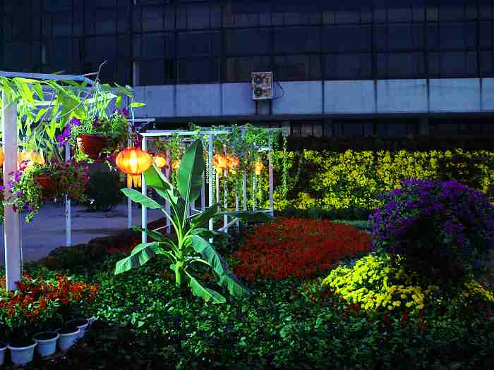 10.1文化宫广场夜景早知道
