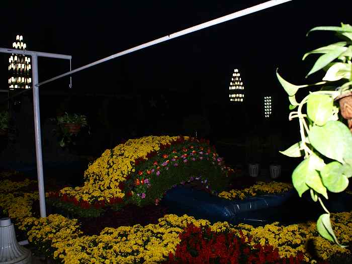 10.1文化宫广场夜景早知道