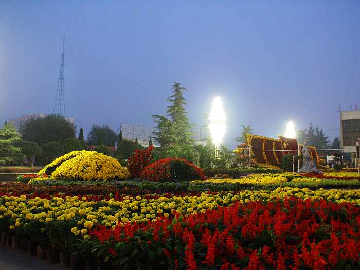 10.1文化宫广场夜景早知道