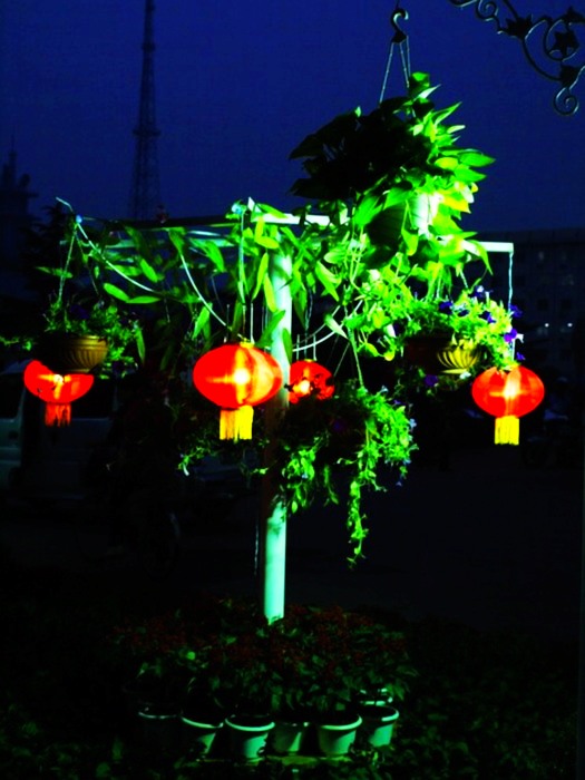10.1文化宫广场夜景早知道