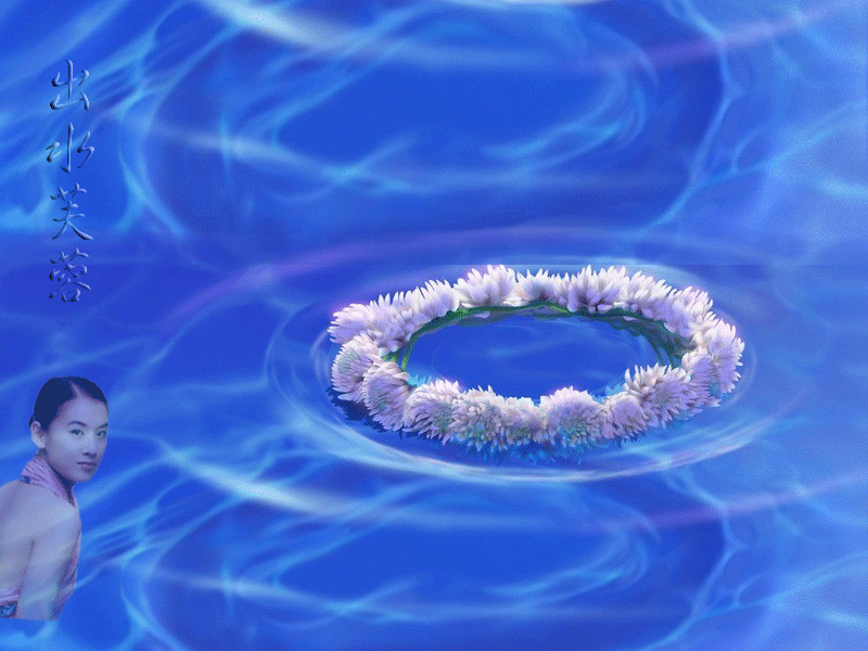 [原创]出水芙蓉