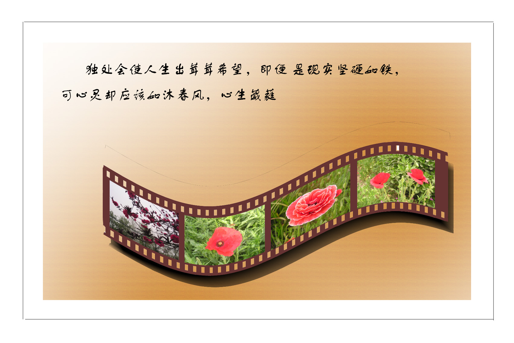 我发行的邮票和电影胶片