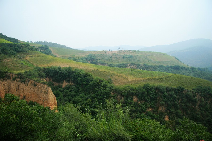 大山深处有油井