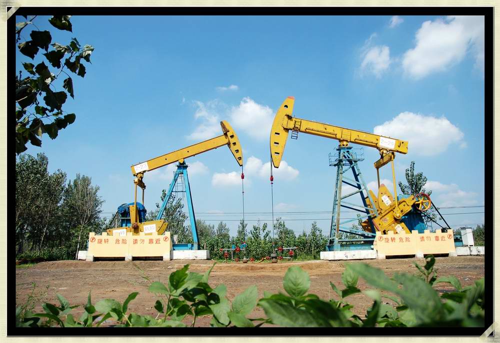 大“驴头”小“驴头”