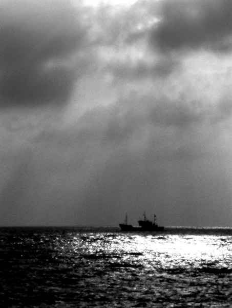 [原创]静静的港湾