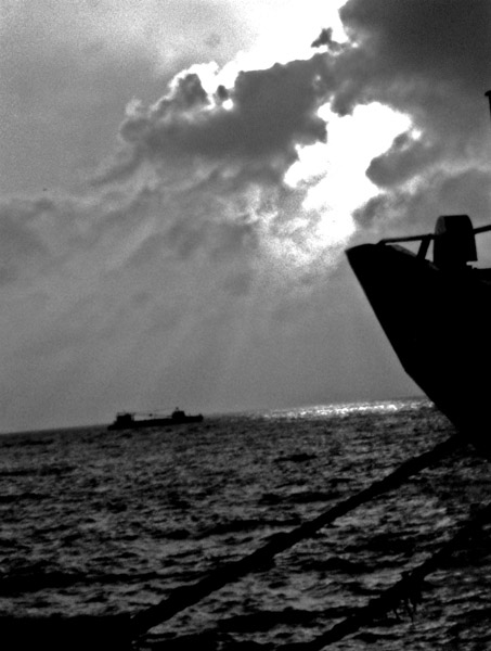 [原创]静静的港湾