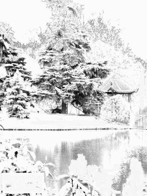 用ps把图片做成下雪特效