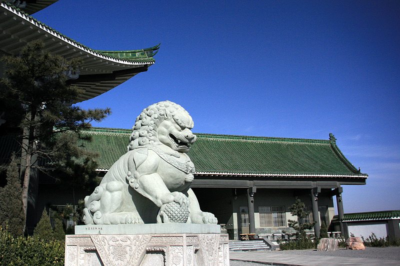 云灵行