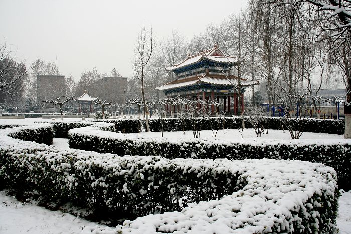 雪中景