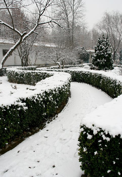 雪中景