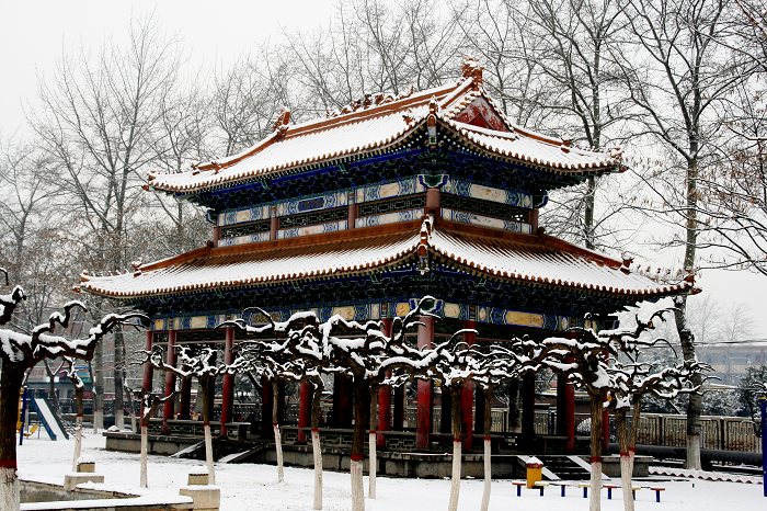 雪中景