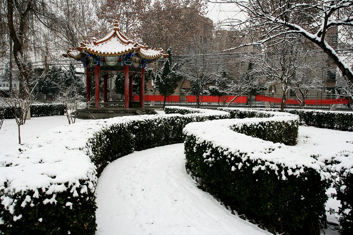 雪中景