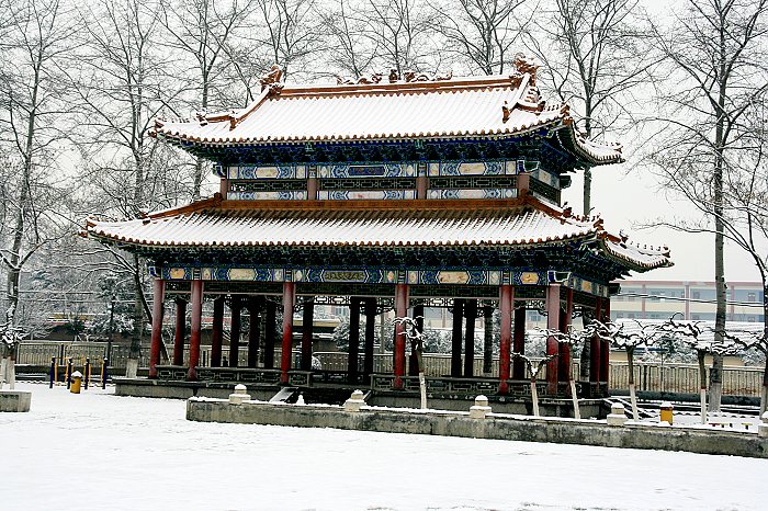 雪中景