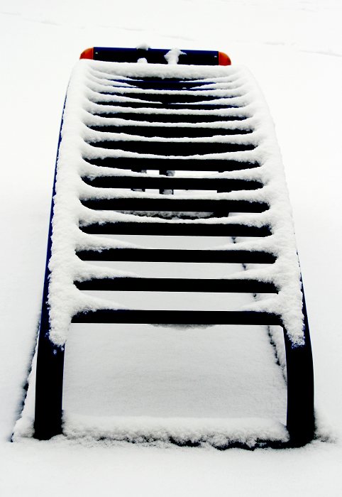 雪中小品