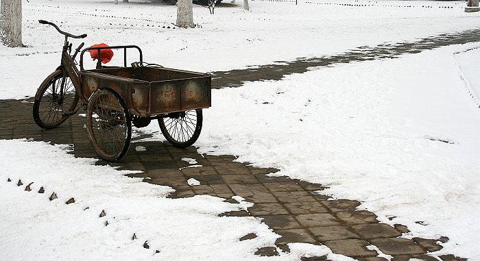 雪中小品