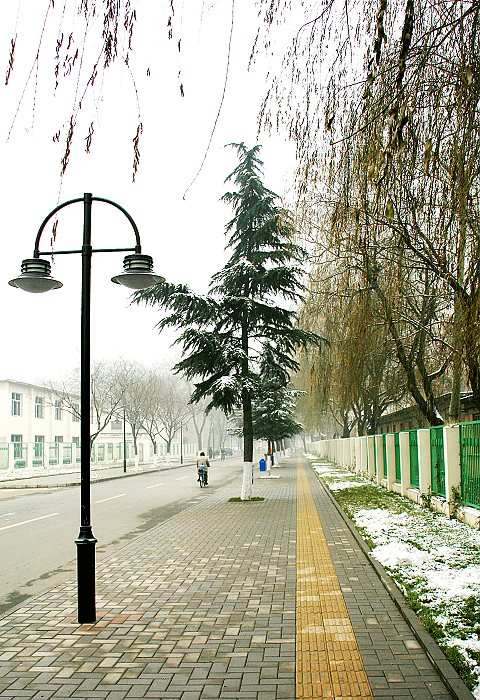 雪中景
