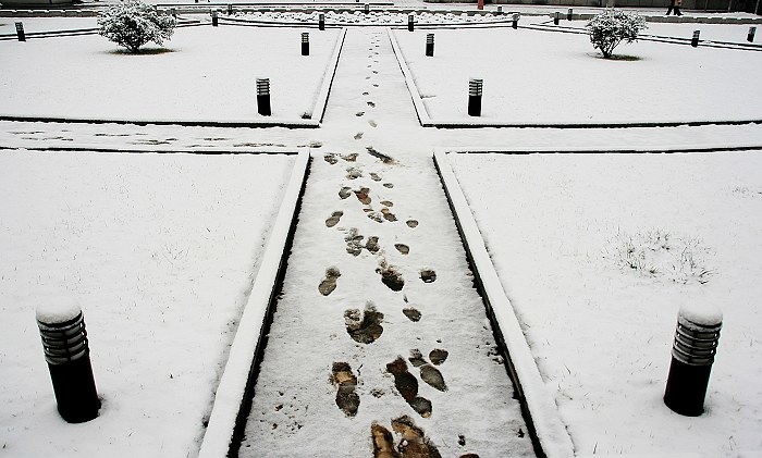 雪中小品