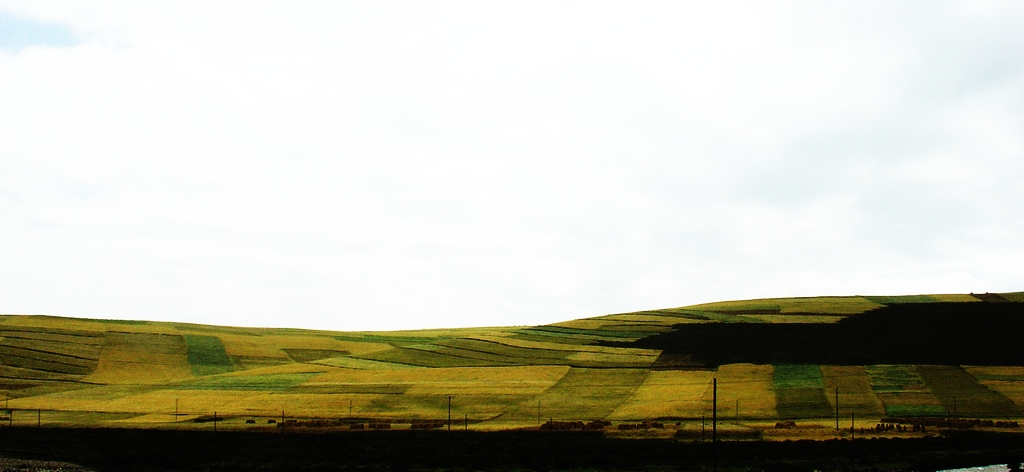 再发自驾游拍的片片。