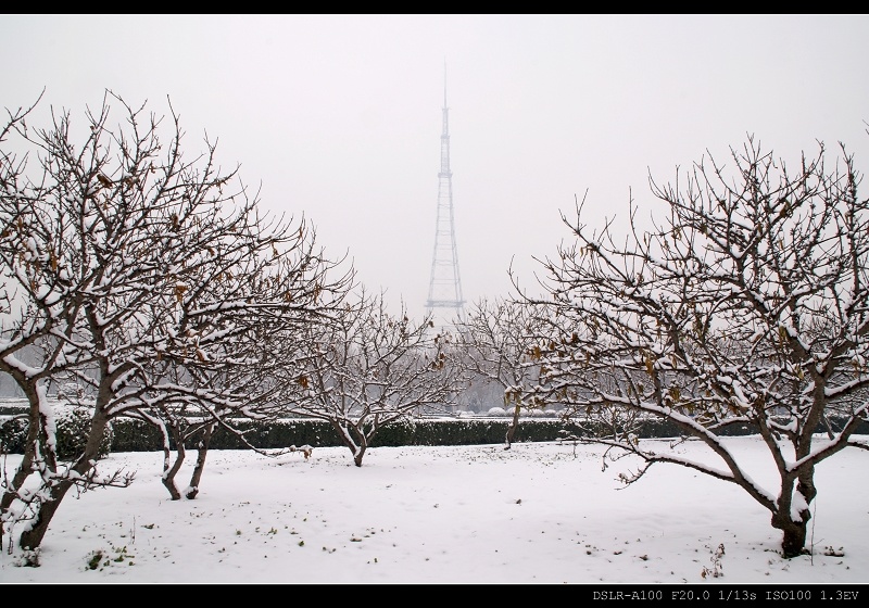 雪景