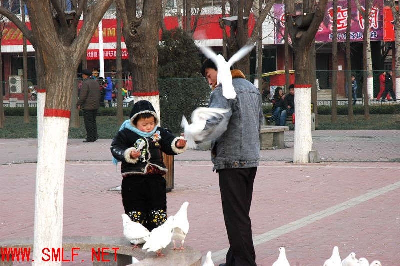 [原创]冬季暖阳