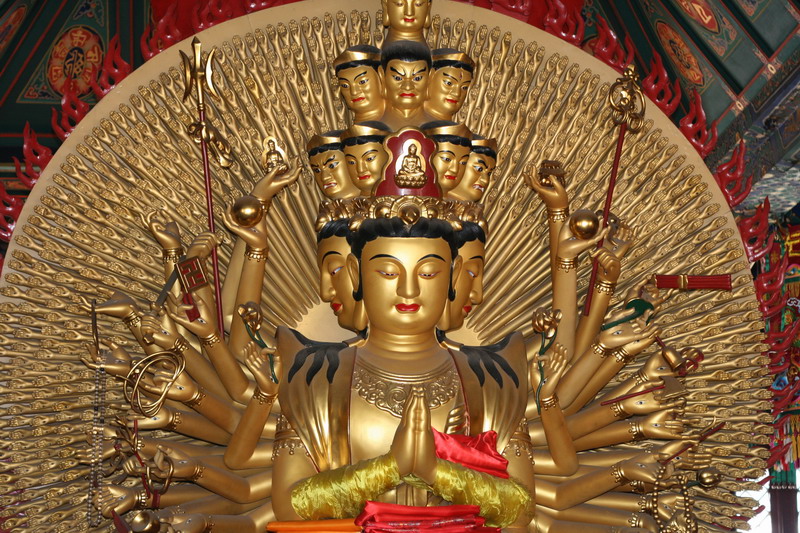 新手，请指教