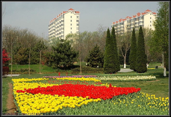 园林城市剪影