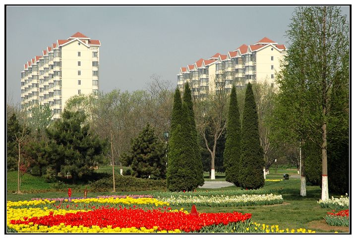 花园中的城市剪影
