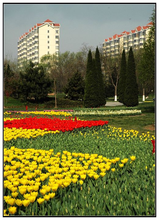 花园中的城市剪影