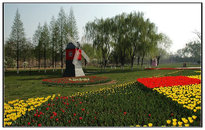 花园中的城市剪影