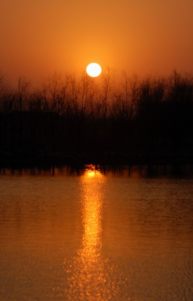 夕阳