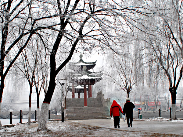 马颊河冬景