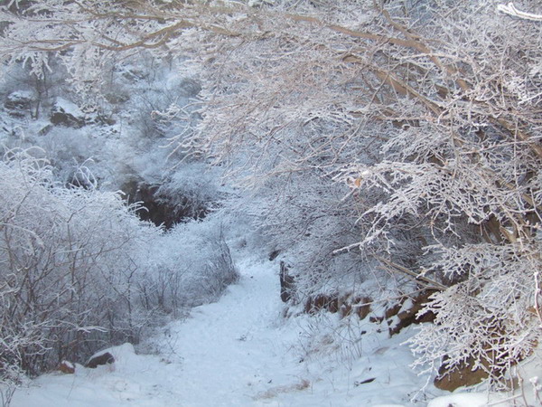 再次走进关山