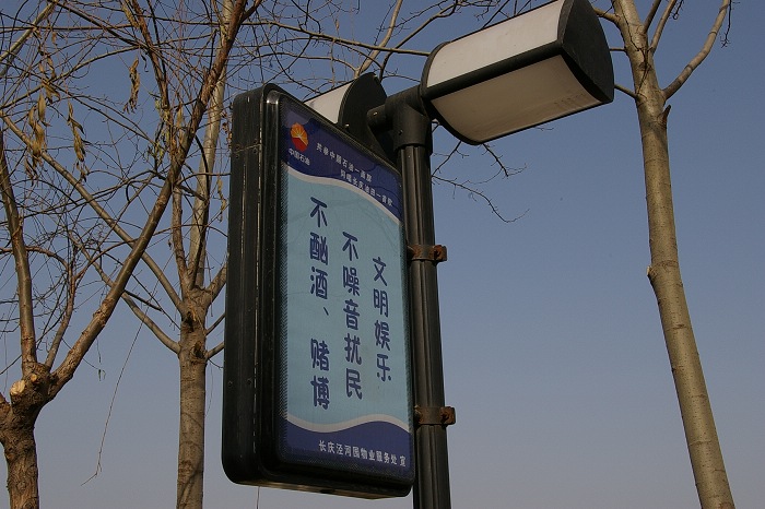 西安难得好天气，拍的几张PP~