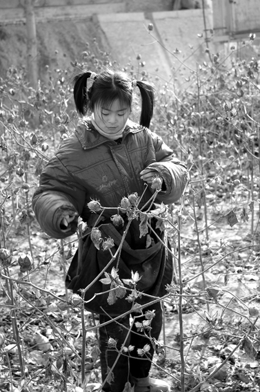 [ “追逐梦想、共享阳光”希望工程 ]寻访贫困儿童之王玉芳篇