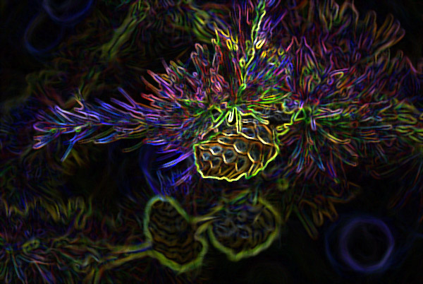 ps照片