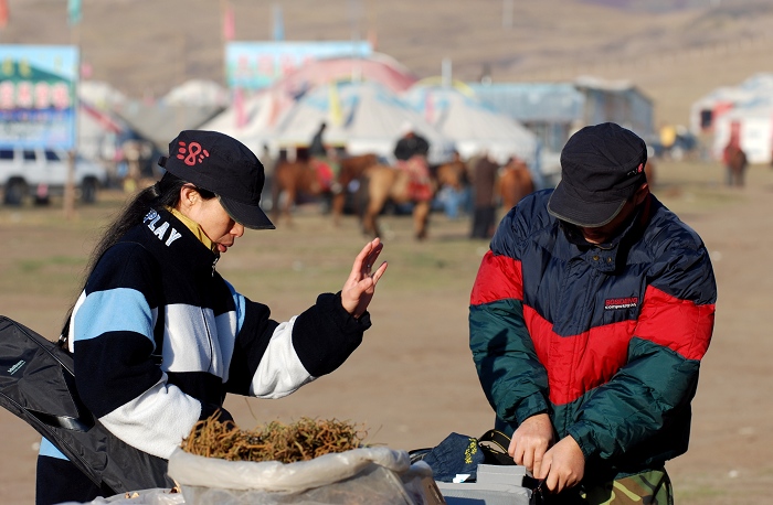 十月，我们相约坝上（花絮）