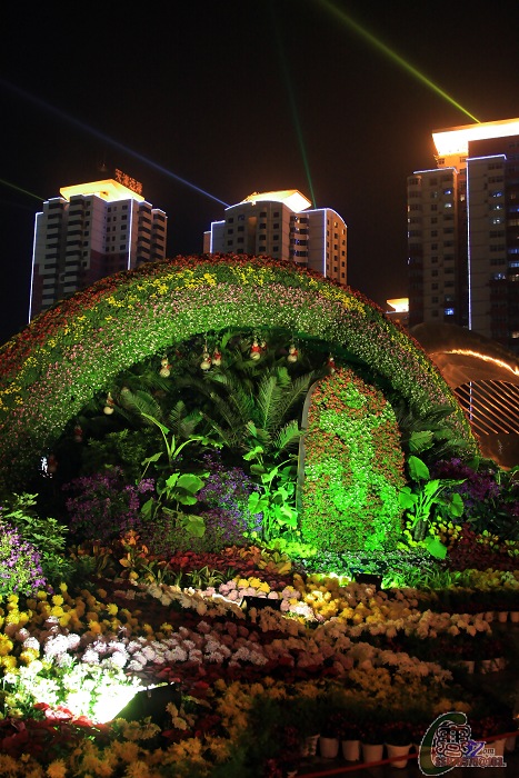 塘沽夜景