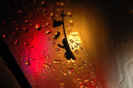 今天的雨~~~