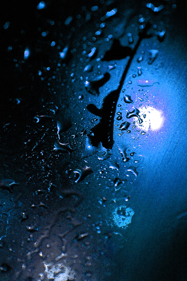 今天的雨~~~