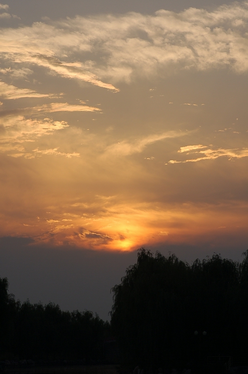 濮上园的夕阳