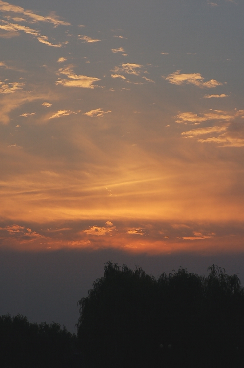 濮上园的夕阳
