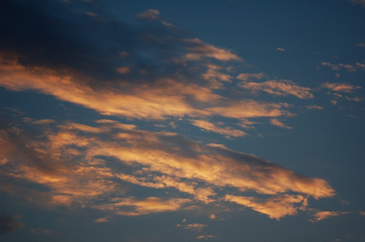 濮上园的夕阳