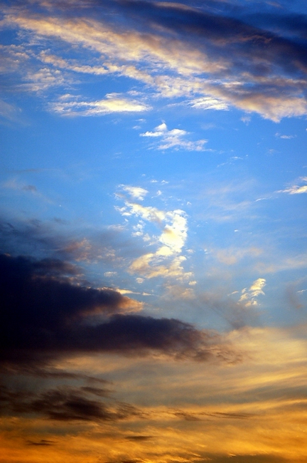 濮上园的夕阳